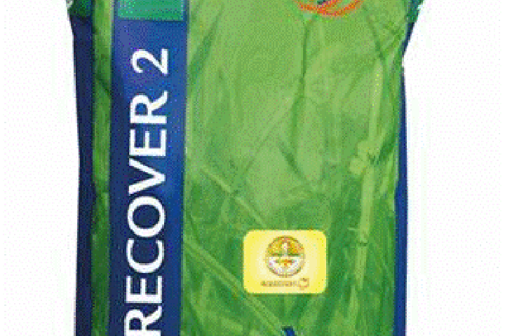 Recover 2 tetra Doorzaaimengsel 15 kg